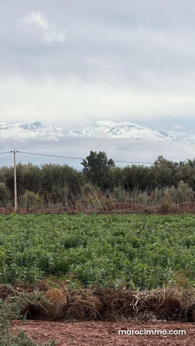 Terrain bien situé, de 22 000 m2, fort potentiel — 5