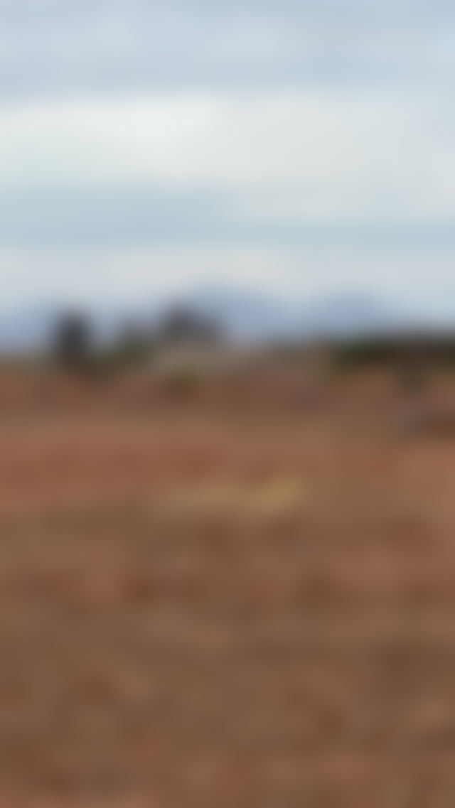 Terrain 2,2 ha avec vue montagne, Amelkis Marrakech — Marrakech
