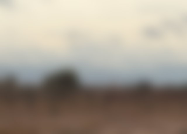 Terrain 2,2 hectares vue Atlas, Route de Fès Marrakech — 2
