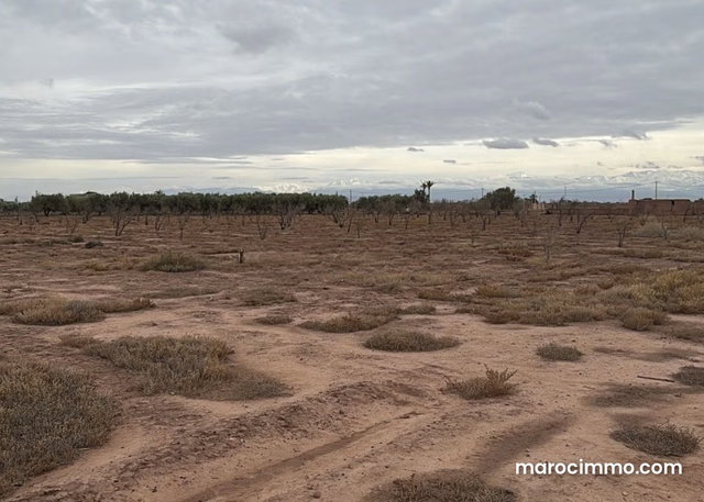Terrain exceptionnel de 2 hectares, Vue Atlas — 5