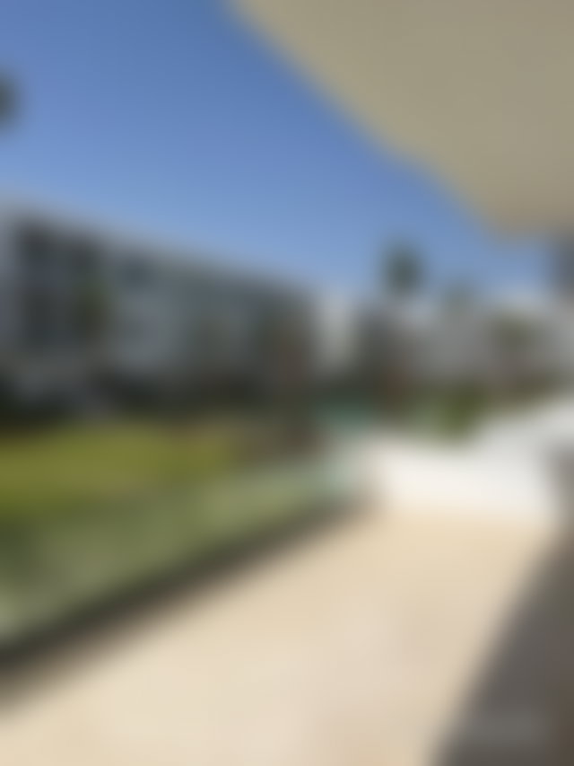 Furnished garden-level apartment for rent in El Menzeh — 2