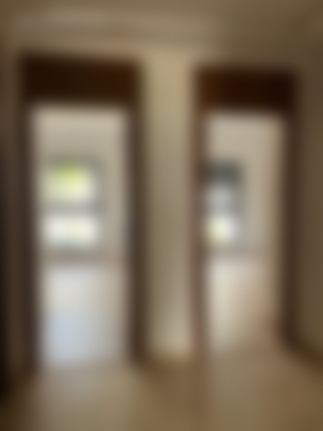 Furnished garden-level apartment for rent in El Menzeh — 4