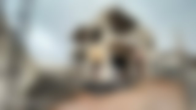 فيلا بإطلالة الأطلس مع حديقة ومسبح بطريق ورزازات مراكش — 2