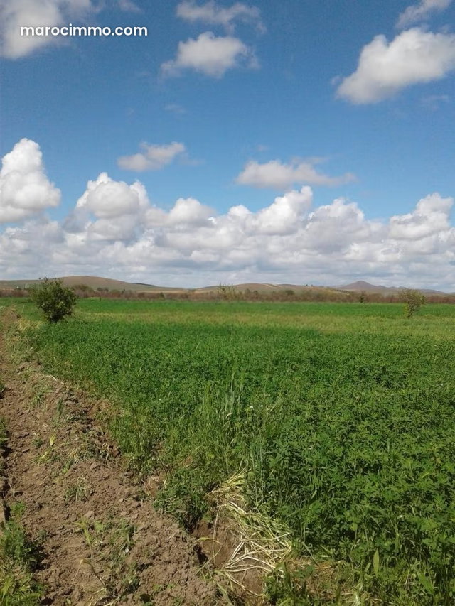 Terrain à vendre route de Fès KM19 — 4