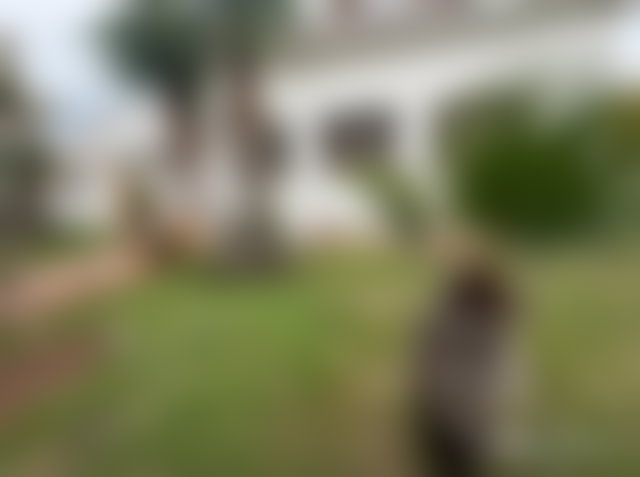 2,004 m² Villa with Garden to Renovate, Souissi, Rabat — 2