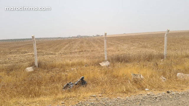 Terrain de 3,4 Hectares Khemis Sidi Yahya Tifelt — 4