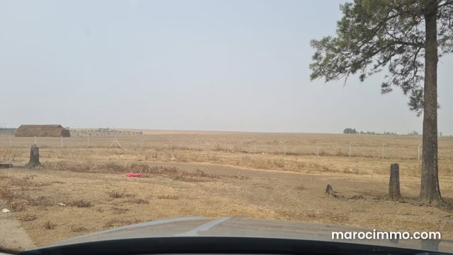 Terrain de 3,4 Hectares Khemis Sidi Yahya Tifelt — 2