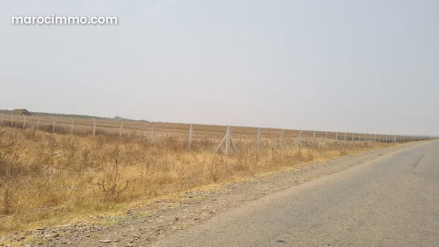 Terrain de 3,4 Hectares Khemis Sidi Yahya Tifelt — Khemis Sidi Yahya