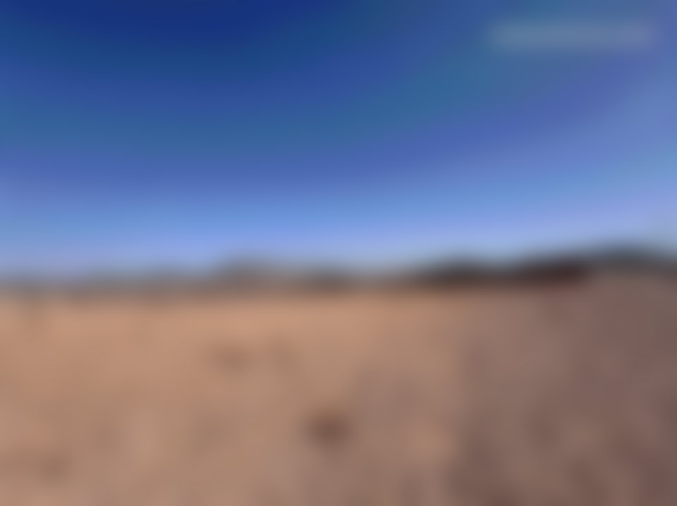 20 ha Agricultural Land, Casablanca Road, Marrakech