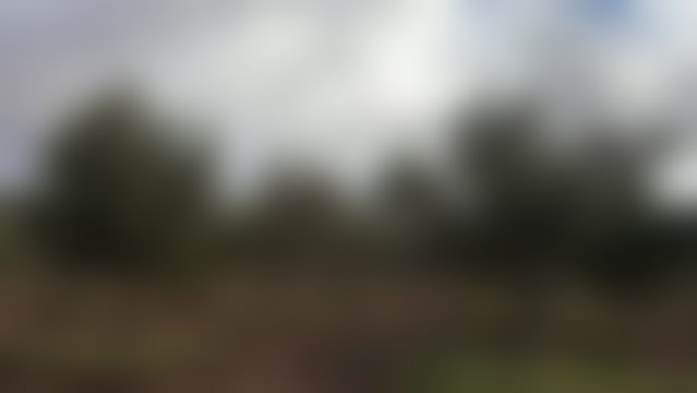 ضيعة فسيحة مع مسبح للبيع بطريق فاس مراكش — 2