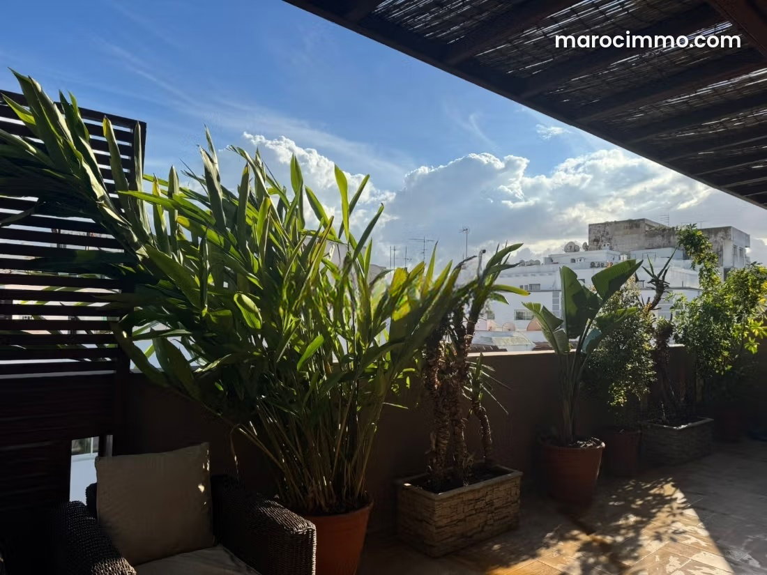 Furnished apartment with terrace for rent in Gauthier, Casablanca — Casablanca