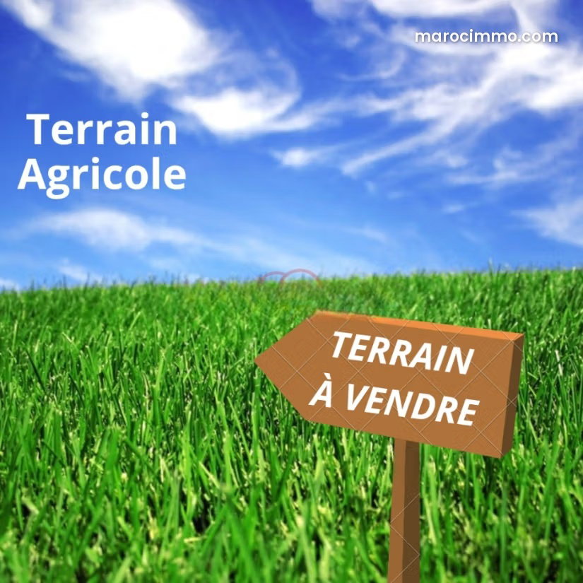 24.5 ha Agricultural Land, Fez Road, Marrakech — Marrakesh