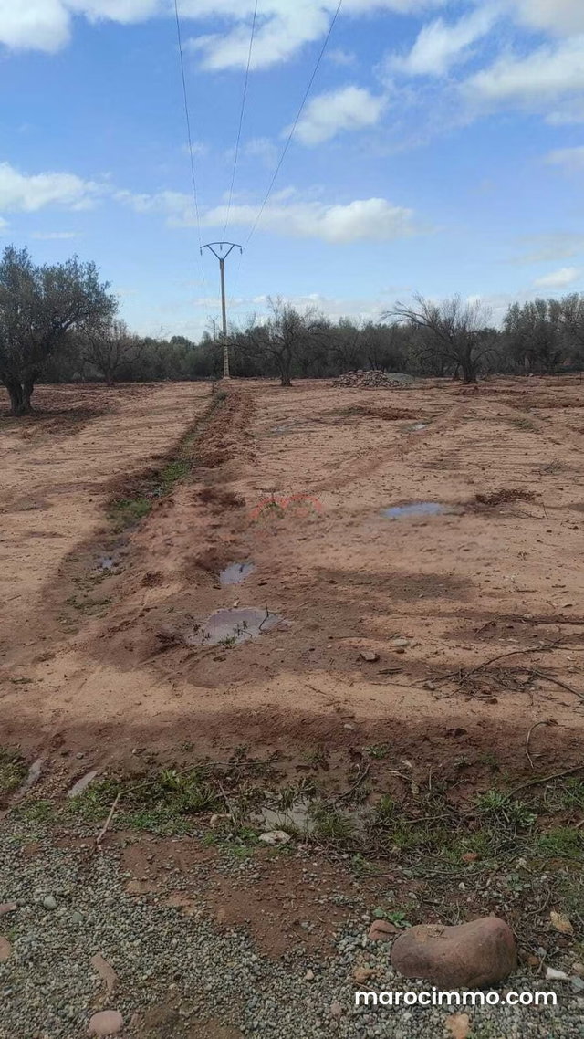 Vente Terrain nu à sidi abdellah ghiat — 3