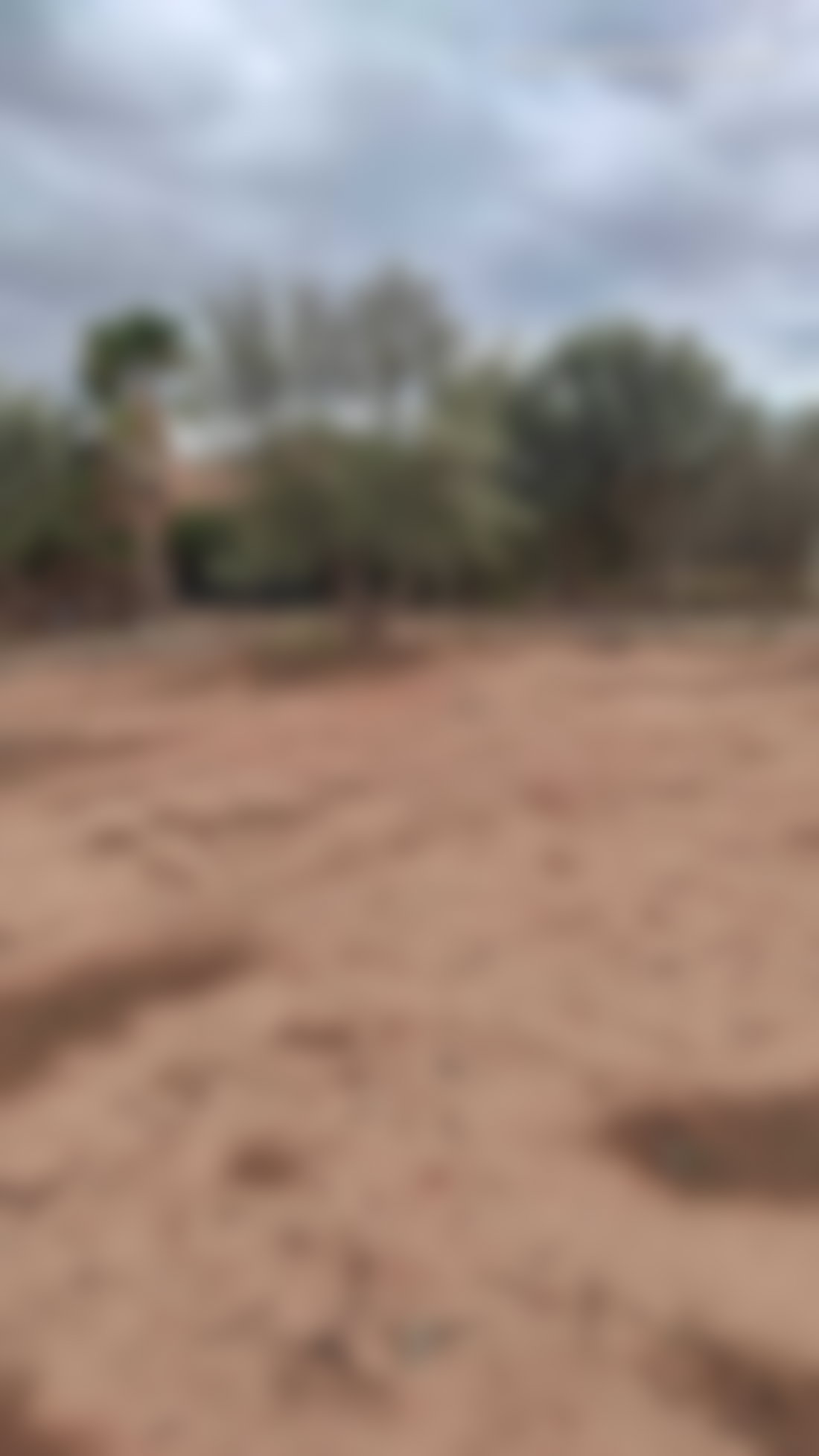 Terrain 700 m² aux Portes de Marrakech à saisir
