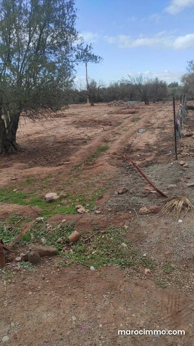 Vente Terrain nu à sidi abdellah ghiat — 2