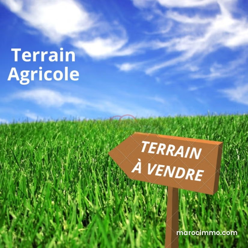 Terrain agricole 5270 m², Route d'El Jadida, Casablanca — Casablanca