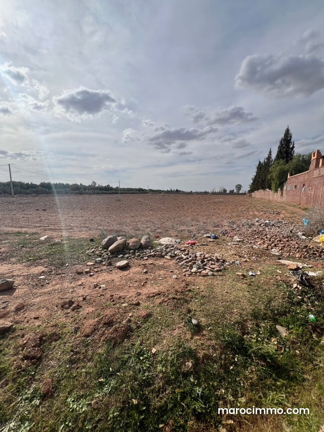 Terrain agricol 3,5 hectar à vendre Rt Casa Kech — 2