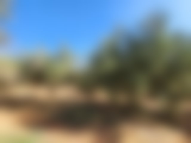 أرض سياحية فسيحة على طريق تحناوت بمراكش — 2