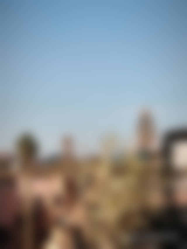 رياض تاريخي واسع للبيع بحي مولاي اليزيد في مراكش — 2