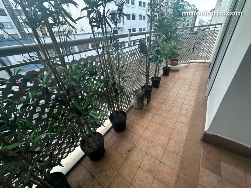 Appartement moderne à vendre sur racine