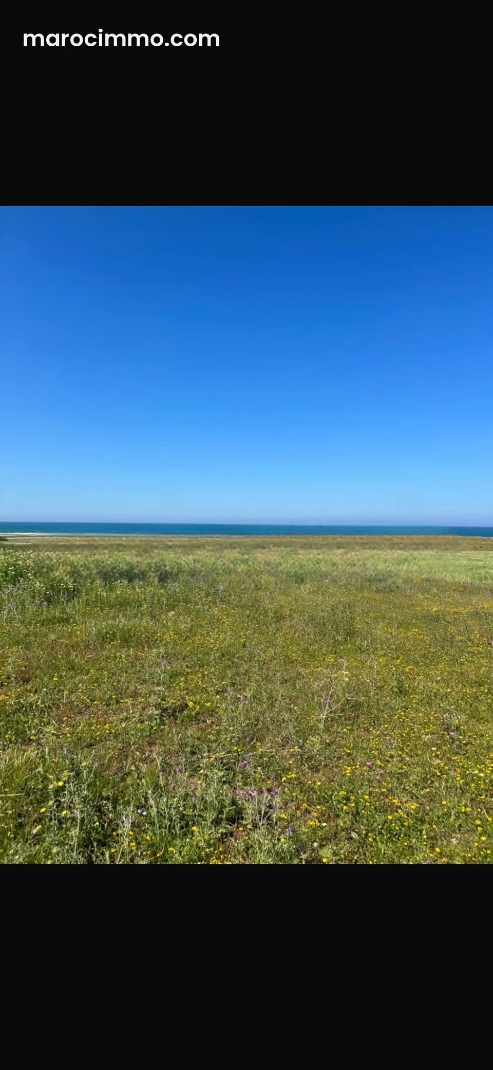 Terrain en vente à Asilah. Surface totale 2200 m²