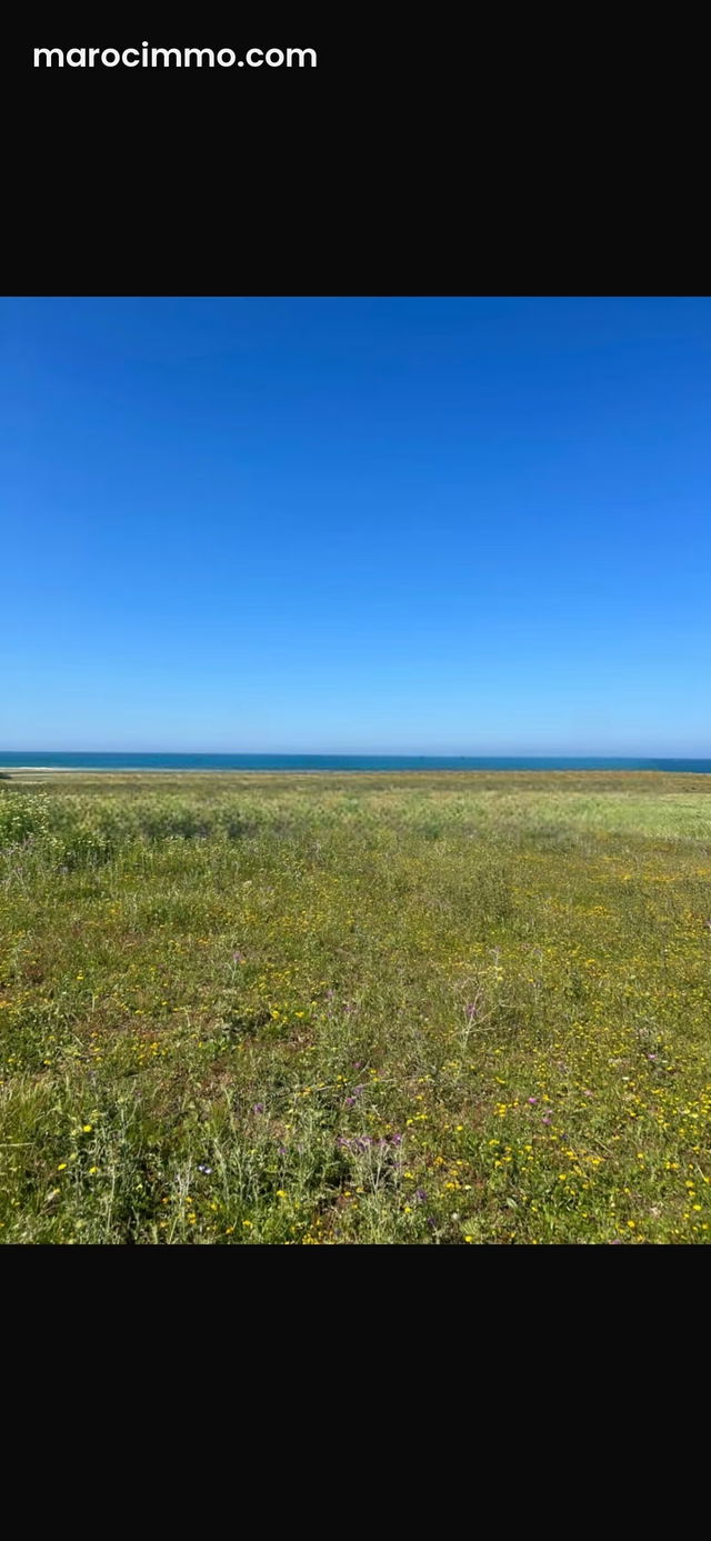 Terrain en vente à Asilah. Surface totale 2200 m² — أصيلا
