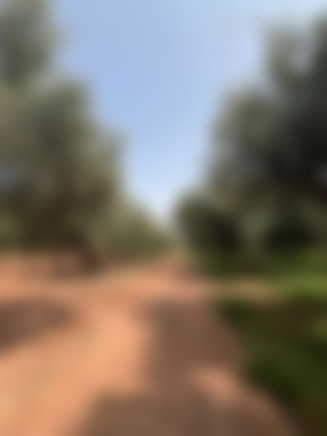 12-Hectare Farm with Villa in Sidi Abdellah Ghiat, Marrakech — Marrakesh