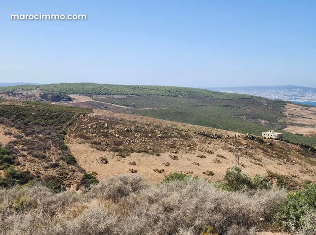 Terrain en vente Superficie 9000 m² — 2
