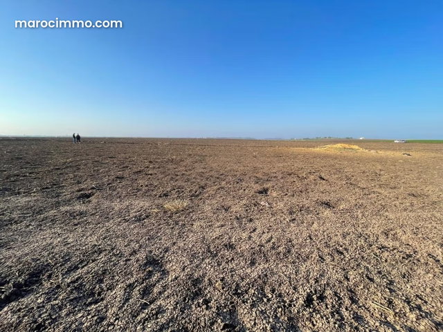 Terrain Agricole de 2,5Ha à Vendre à Oulad Zidane — 3