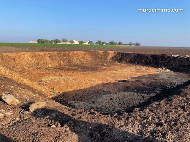 Terrain Agricole de 2,5Ha à Vendre à Oulad Zidane — 5