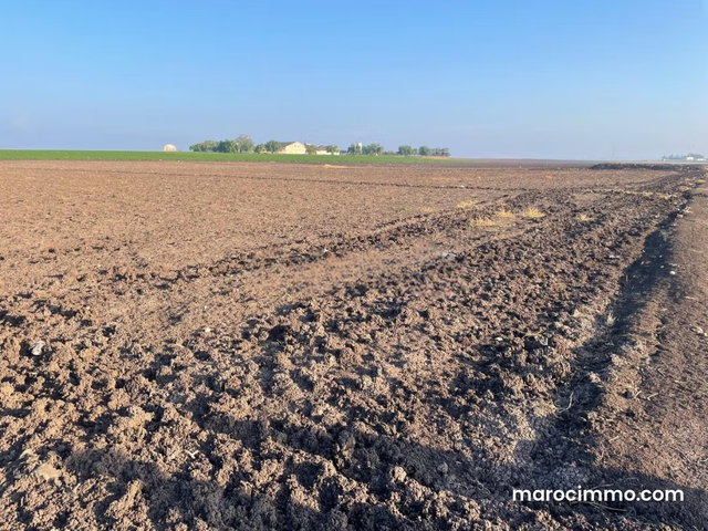 Terrain Agricole de 2,5Ha à Vendre à Oulad Zidane — 4