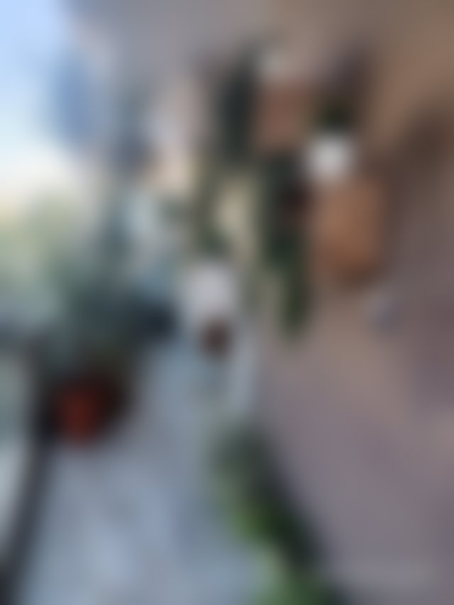 Appartement avec terrasse et cour aménagée au Palmier Casablanca — 5