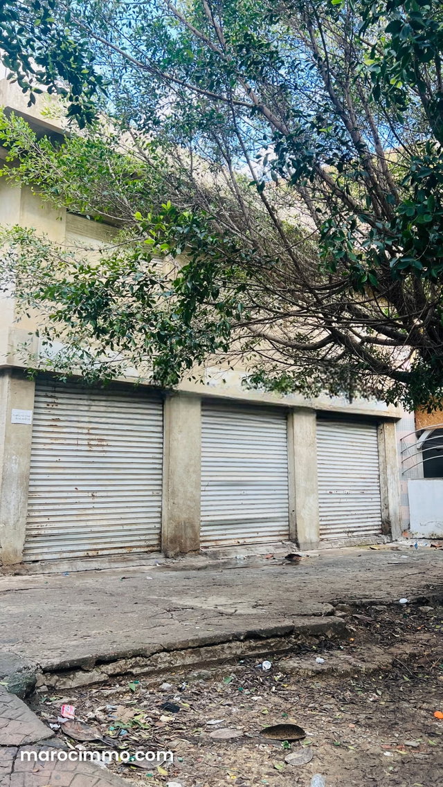 Très belle maison en vente à Ben Dibane. 1 chambre. — 2