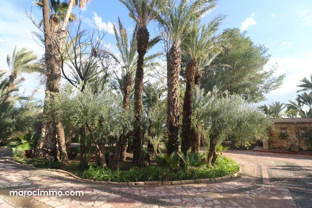 Villa de 300 m² terrain 1 hectare — Marrakech