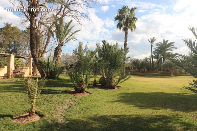 300 m² Villa on 1 Hectare Land — 2