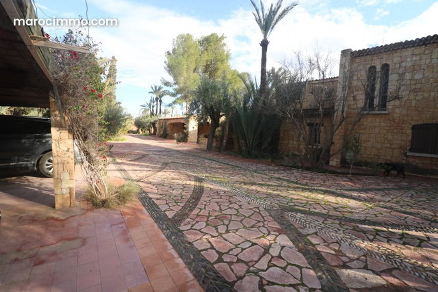 300 m² Villa on 1 Hectare Land — 3