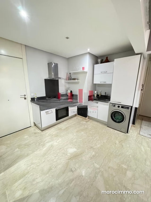 Appatement meublé – entièrement rénové – 2 balcons — 4