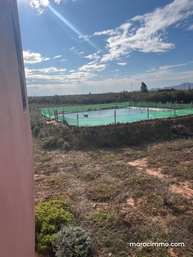 Ferme 3 hectares à vendre RT de FEZ Marrakech — 3