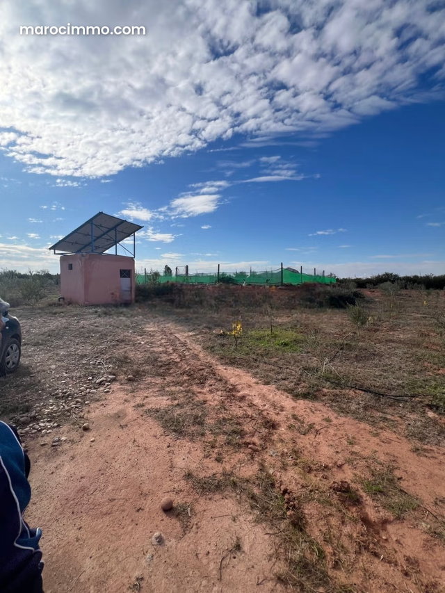Ferme 3 hectares à vendre RT de FEZ Marrakech — 2