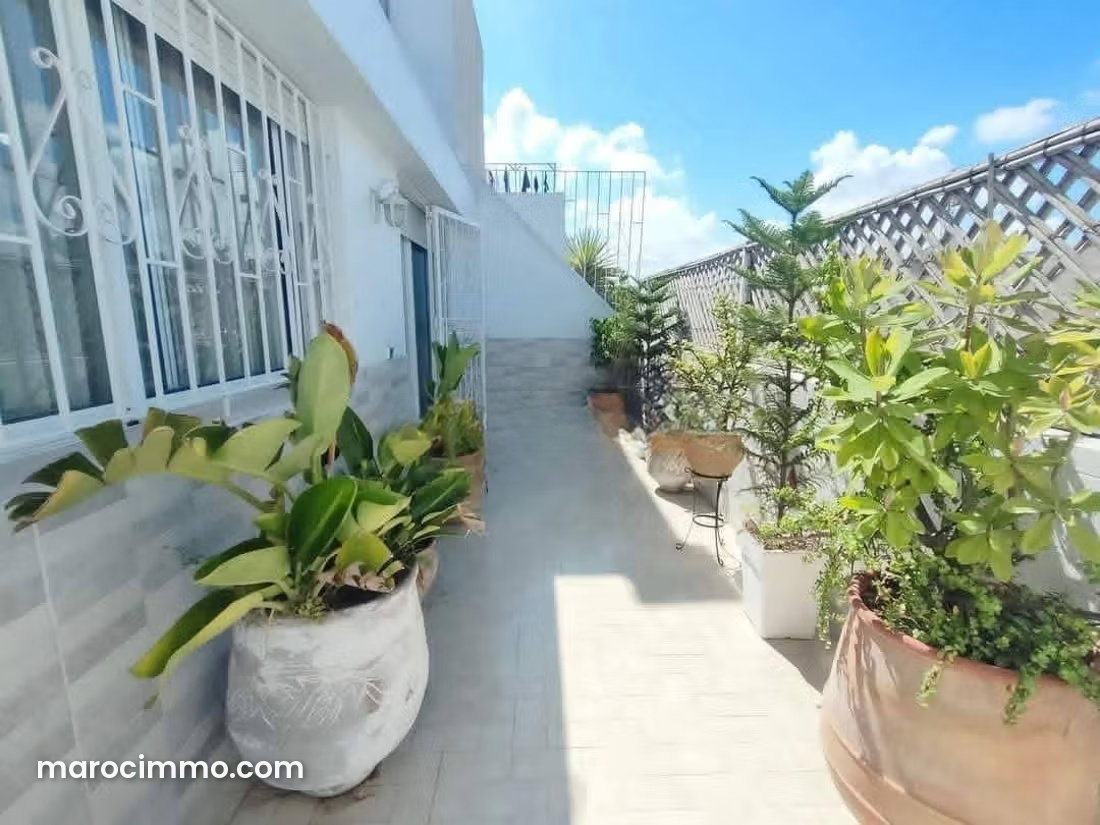 Furnished Apartment with Terrace in Bourgogne, Casablanca — Casablanca