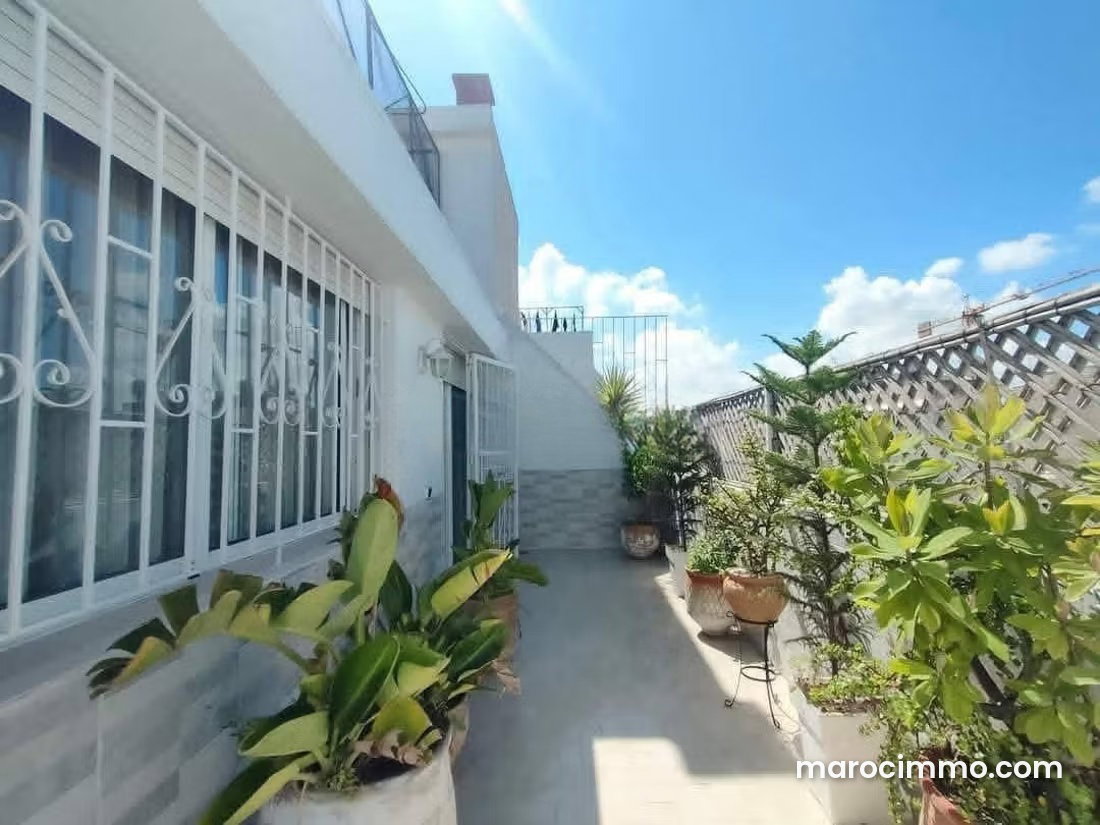 Furnished Apartment with Terrace for Rent in Anfa, Casablanca — Casablanca