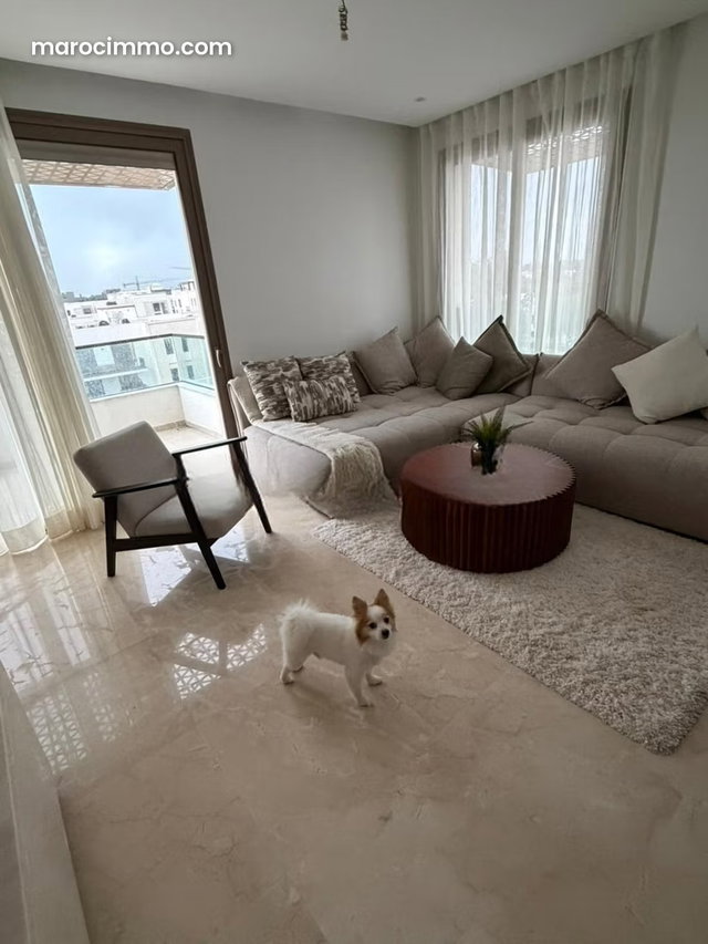 Belle appartement a louer orangeraie — 3
