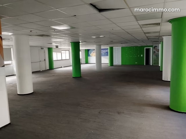 Office Building for Rent, City Center. 3900 M² Surface Area — 4