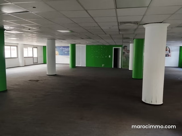Office Building for Rent, City Center. 3900 M² Surface Area — 5
