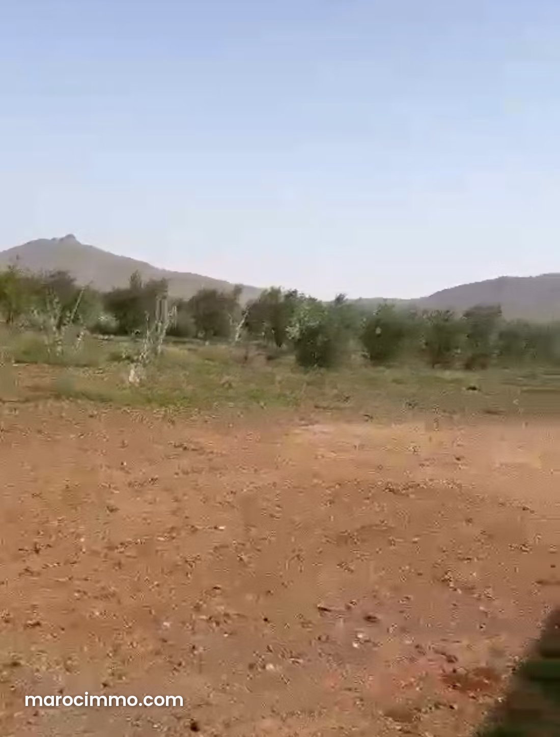 2.25 ha Agricultural Farm with Olive Trees and Orchard, Casablanca Road — Marrakesh