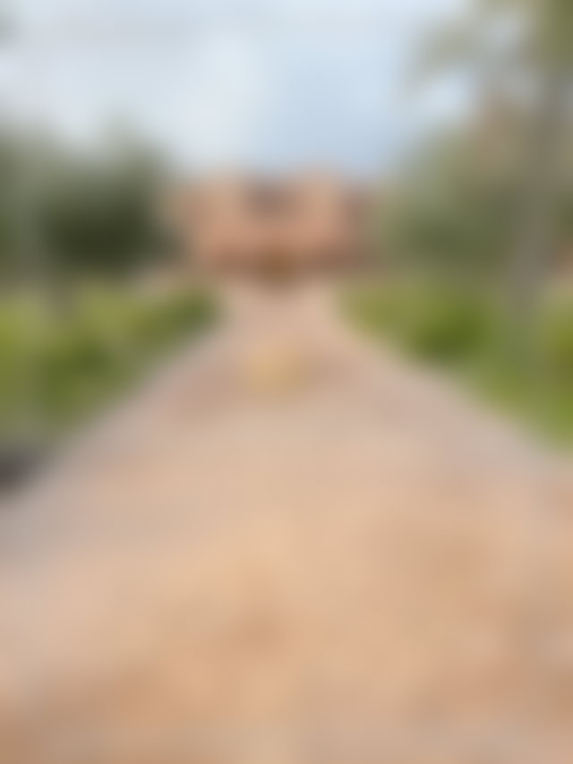 Villa 1000 m² sur 1 hectare, Route de Tahanaoute, Marrakech — 2