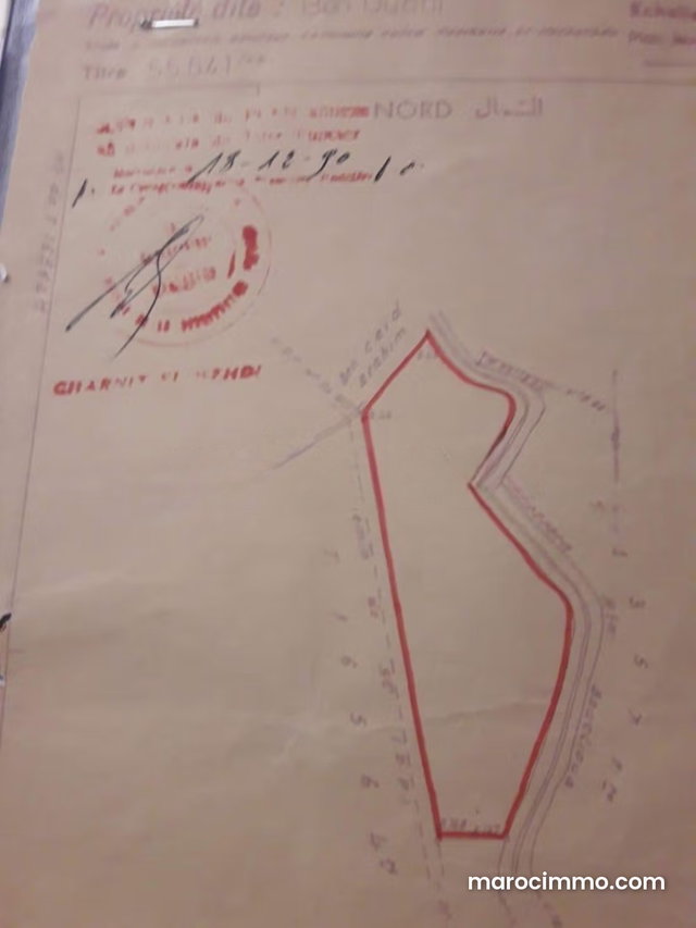 Beautiful one-hectare plot with view of Atlas, 20 km from Marrakech, no track — 4