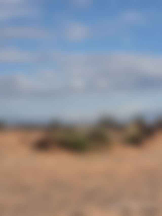 10,000 m² Development Land on Route de Fès, Marrakech, with Mountain Views — Marrakesh