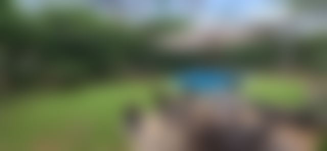 520 sqm Villa with Pool and Sea Views, Aïn Diab, Casablanca — Casablanca