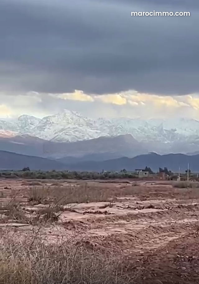 Terrain à la vente à Sidi Abdallah Ghiat. Surface de 13 Hectares — Sidi Abdallah Ghiat